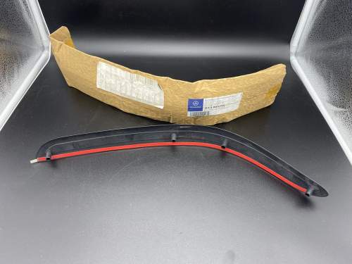 Schutzleiste hinten links Mercedes-Benz W168 (B66880146)